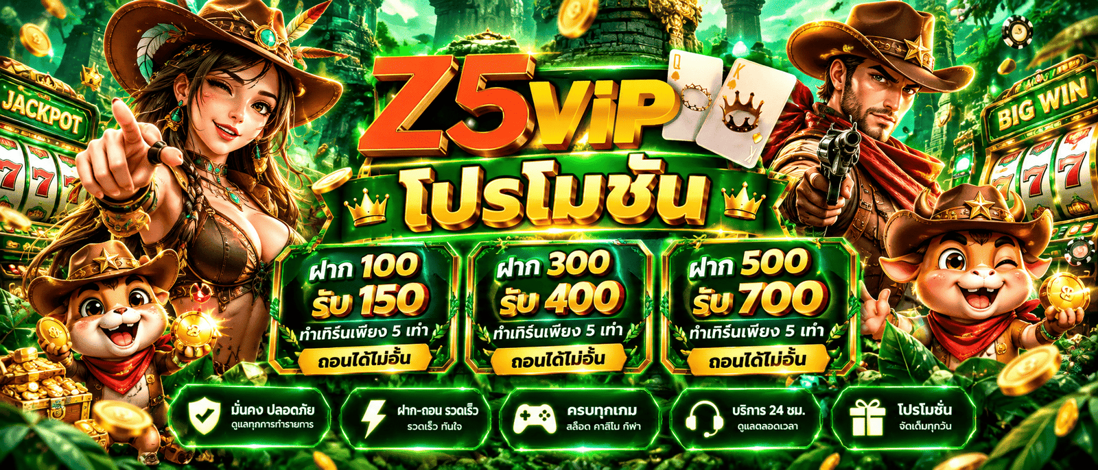 Z5VIP