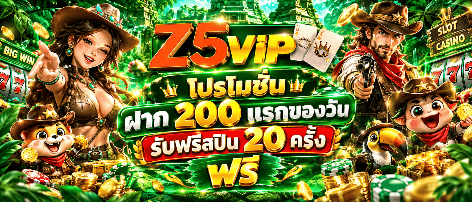 Z5VIP