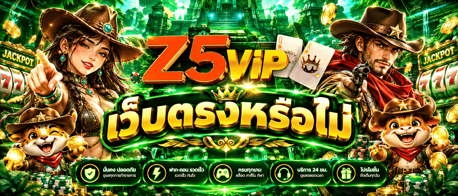 Z5VIP